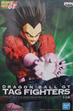 Dragon Ball GT Tag Fighters Super Saiyan 4 Vegeta